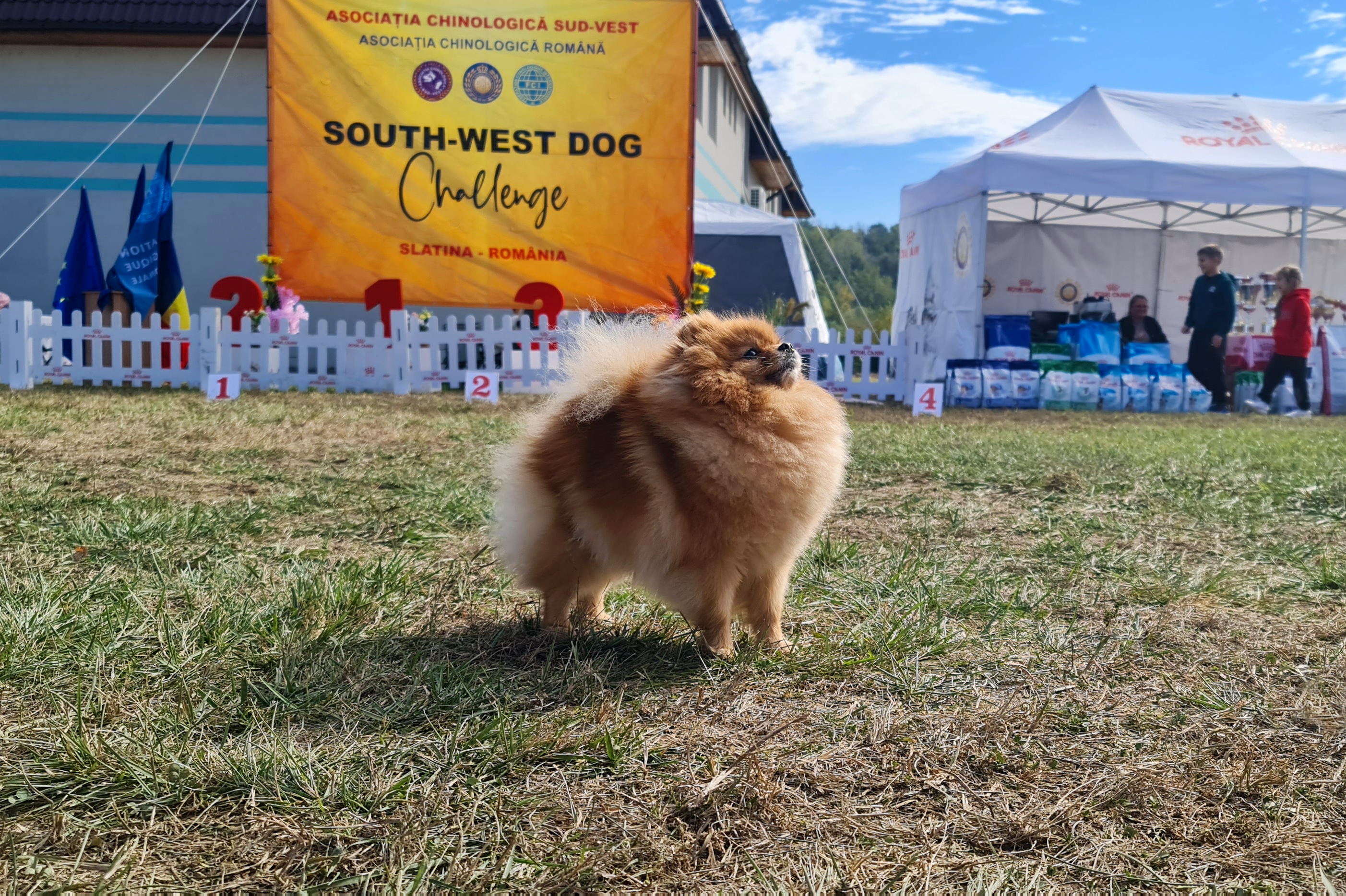 Born To Be Famous Hold My Crown "Honey"