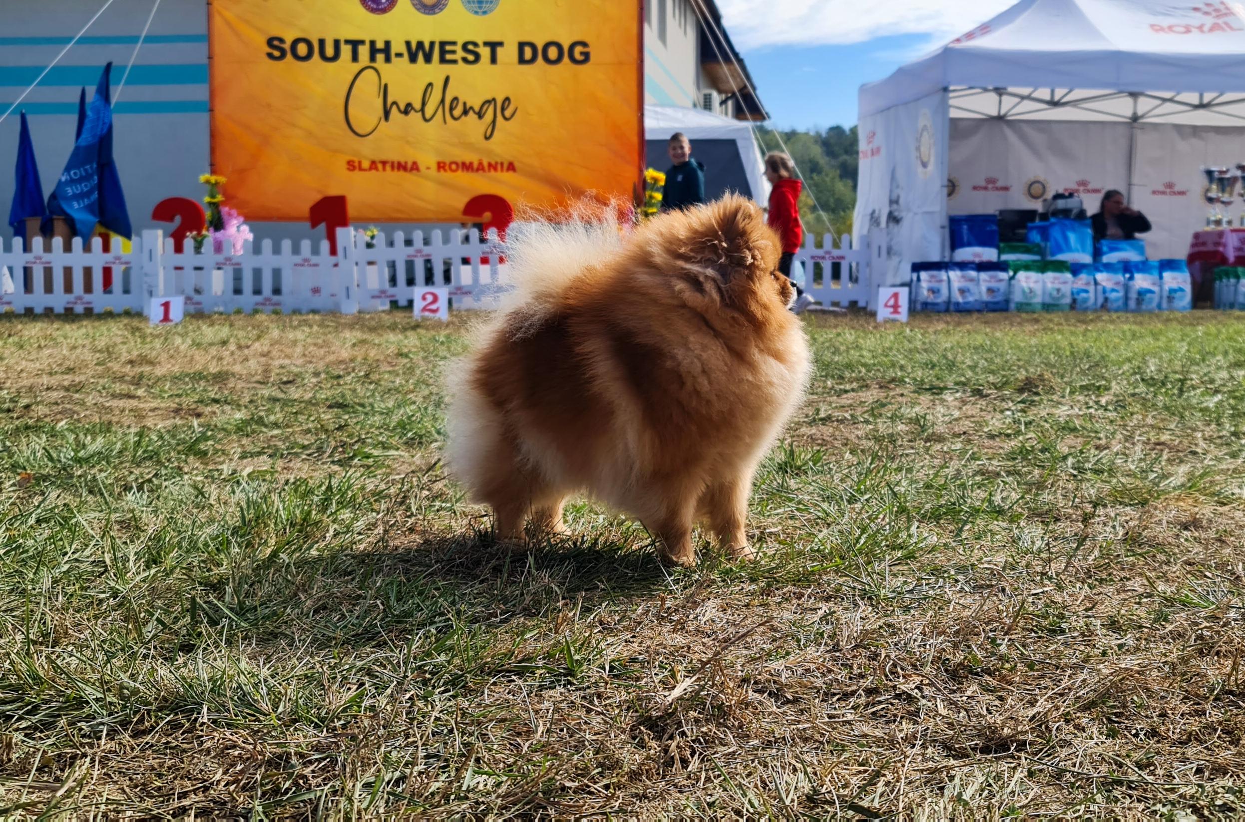 Born To Be Famous Hold My Crown "Honey" 3