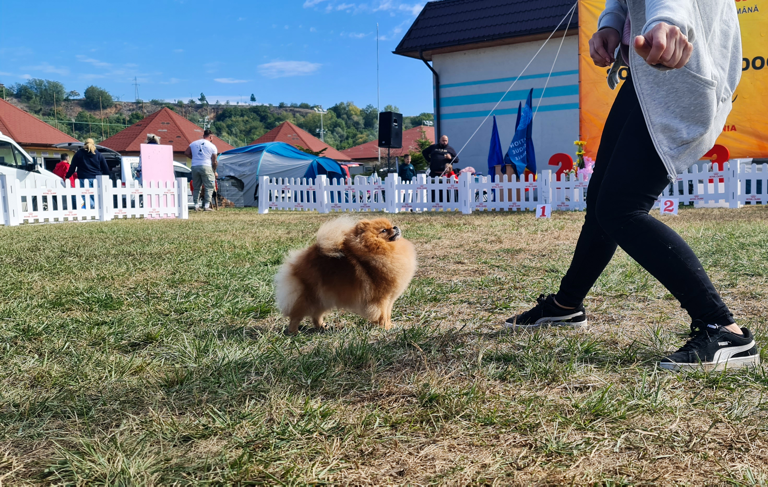 Born To Be Famous Hold My Crown "Honey" 5