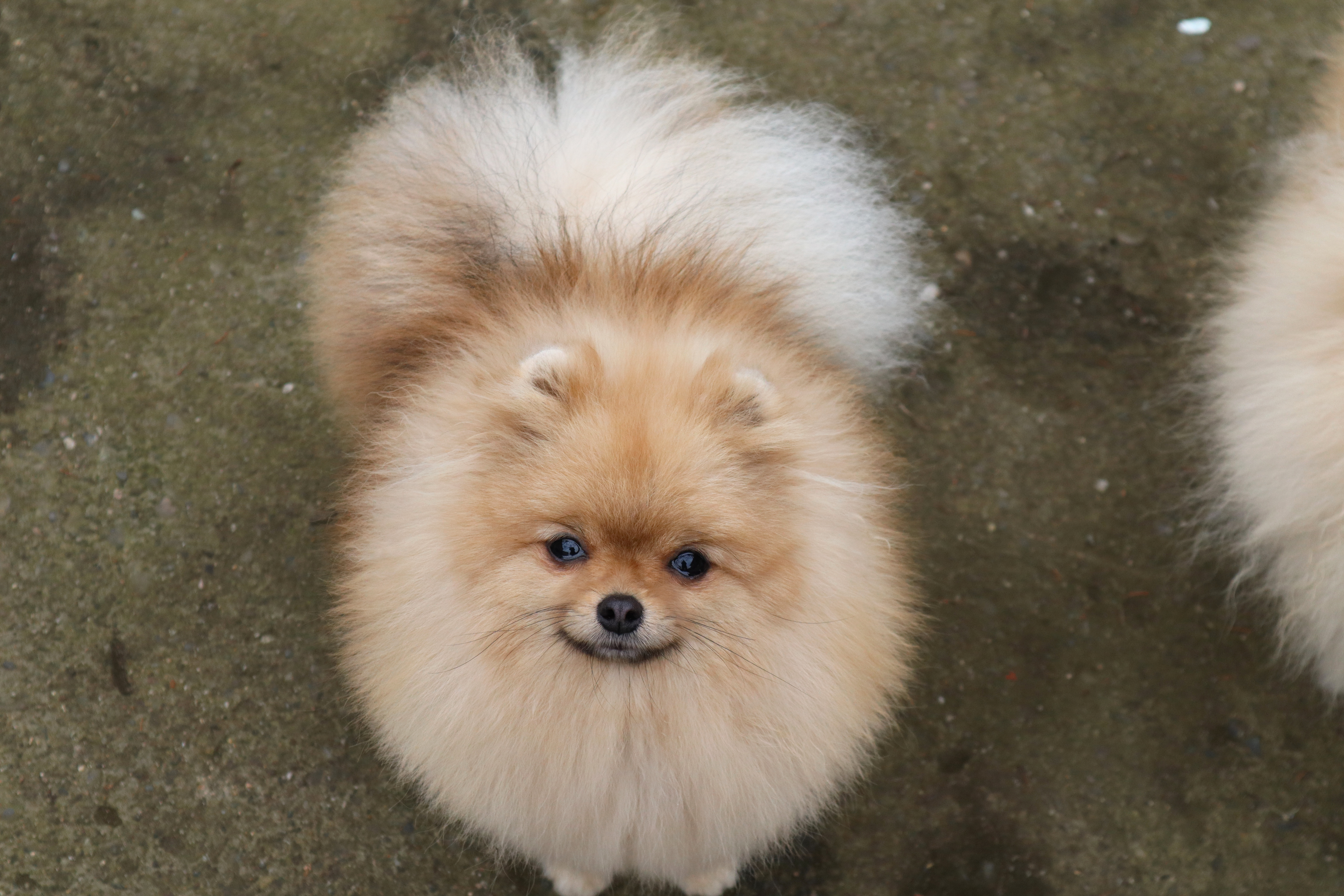 Born To Be Famous Quick As A Wink "Karma"