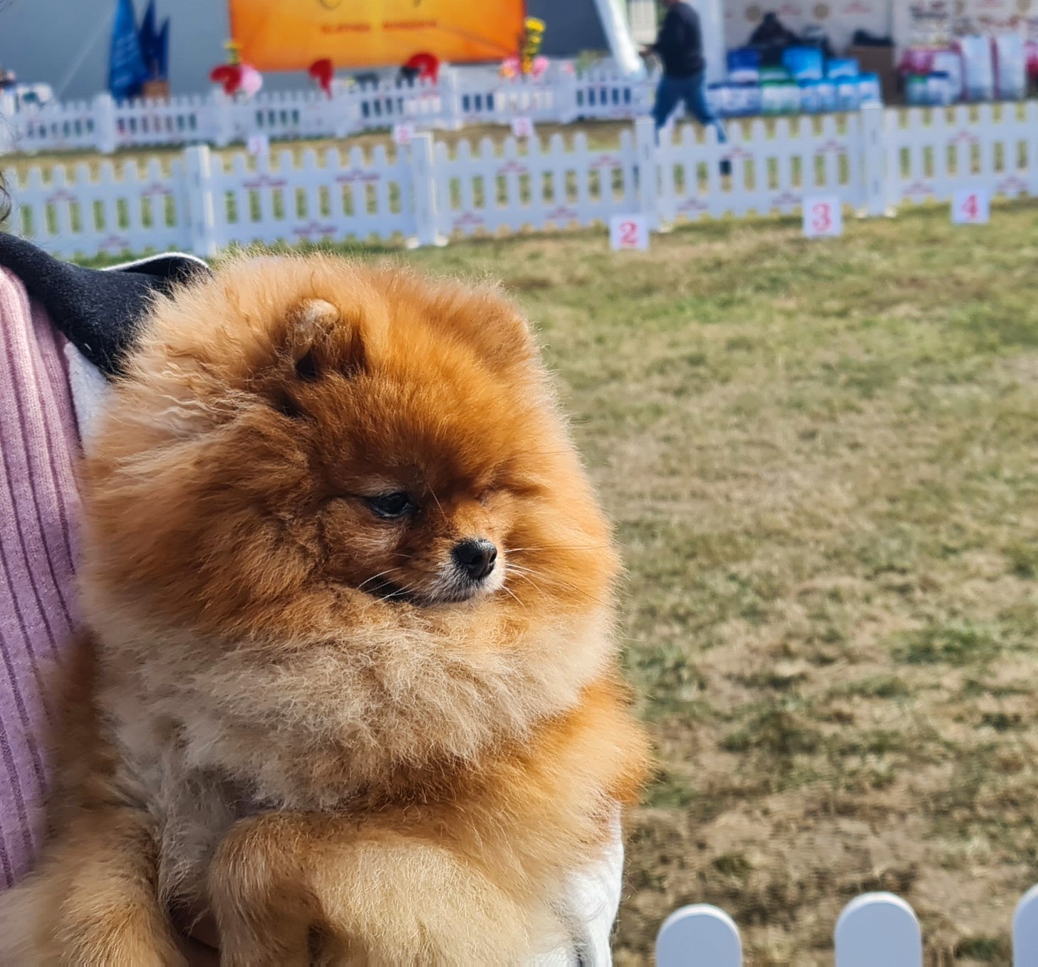 Born To Be Famous Hold My Crown "Honey" 6