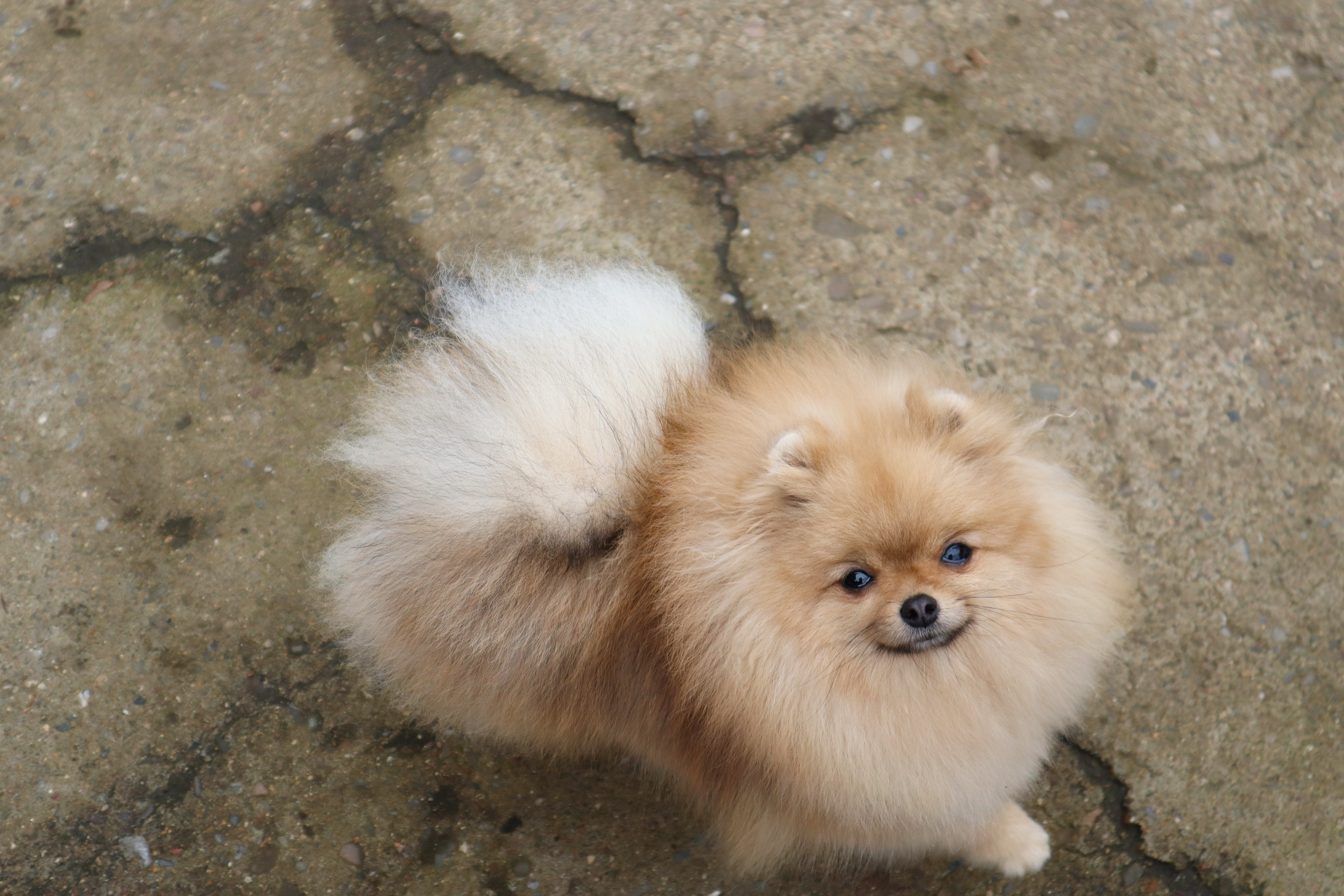 Born To Be Famous Quick As A Wink "Karma" 6