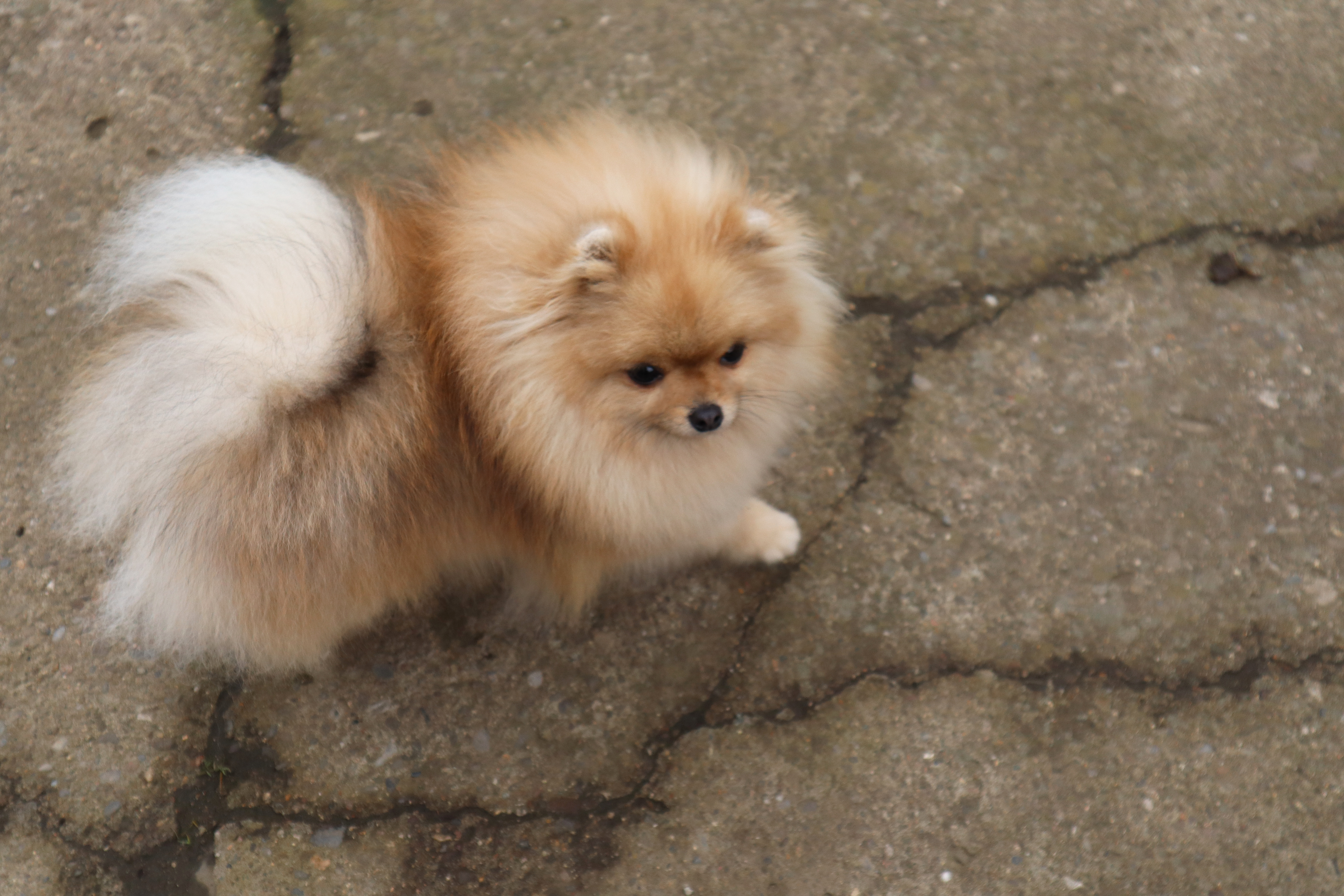 Born To Be Famous Quick As A Wink "Karma" 3