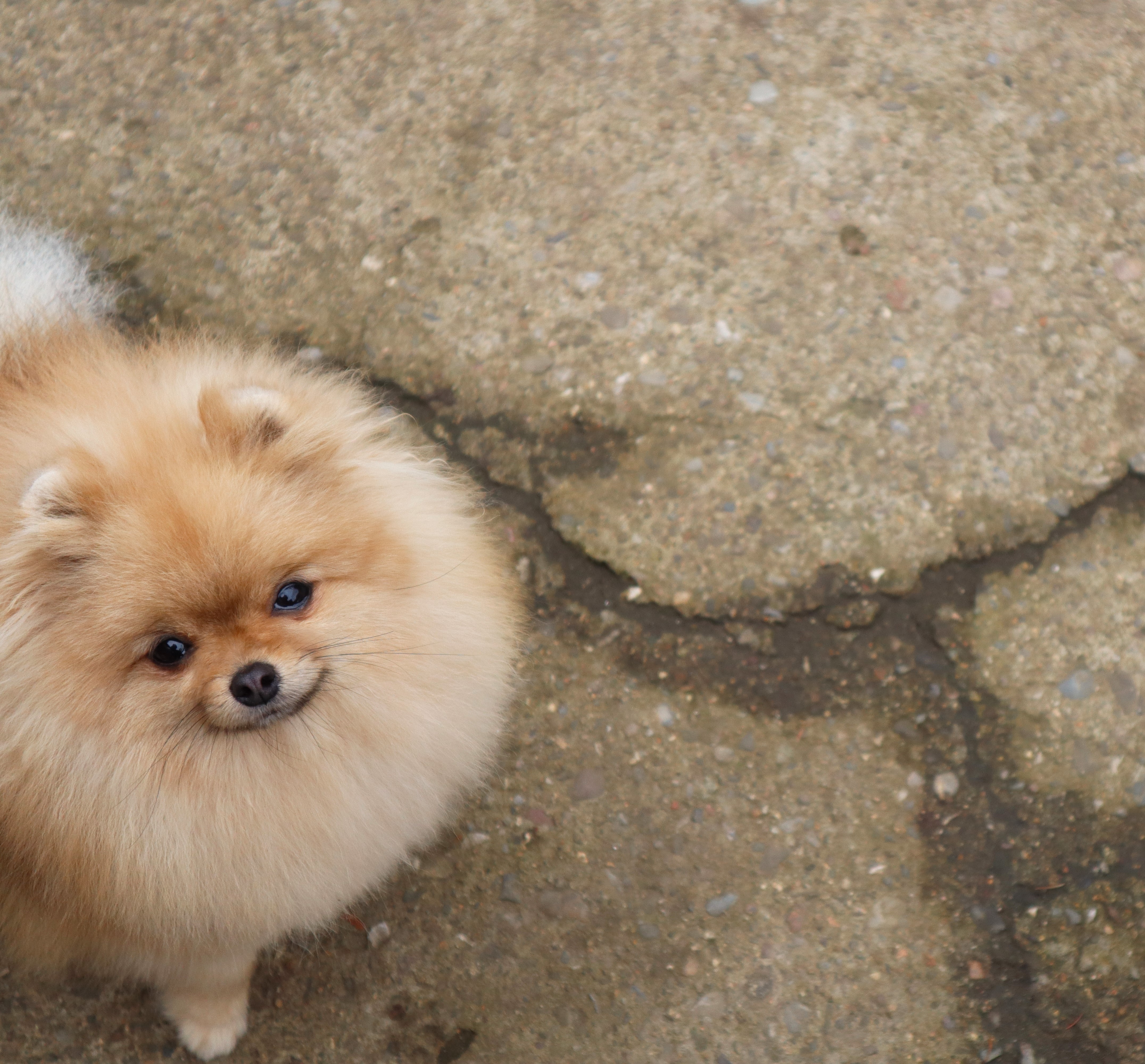 Born To Be Famous Quick As A Wink "Karma" 5