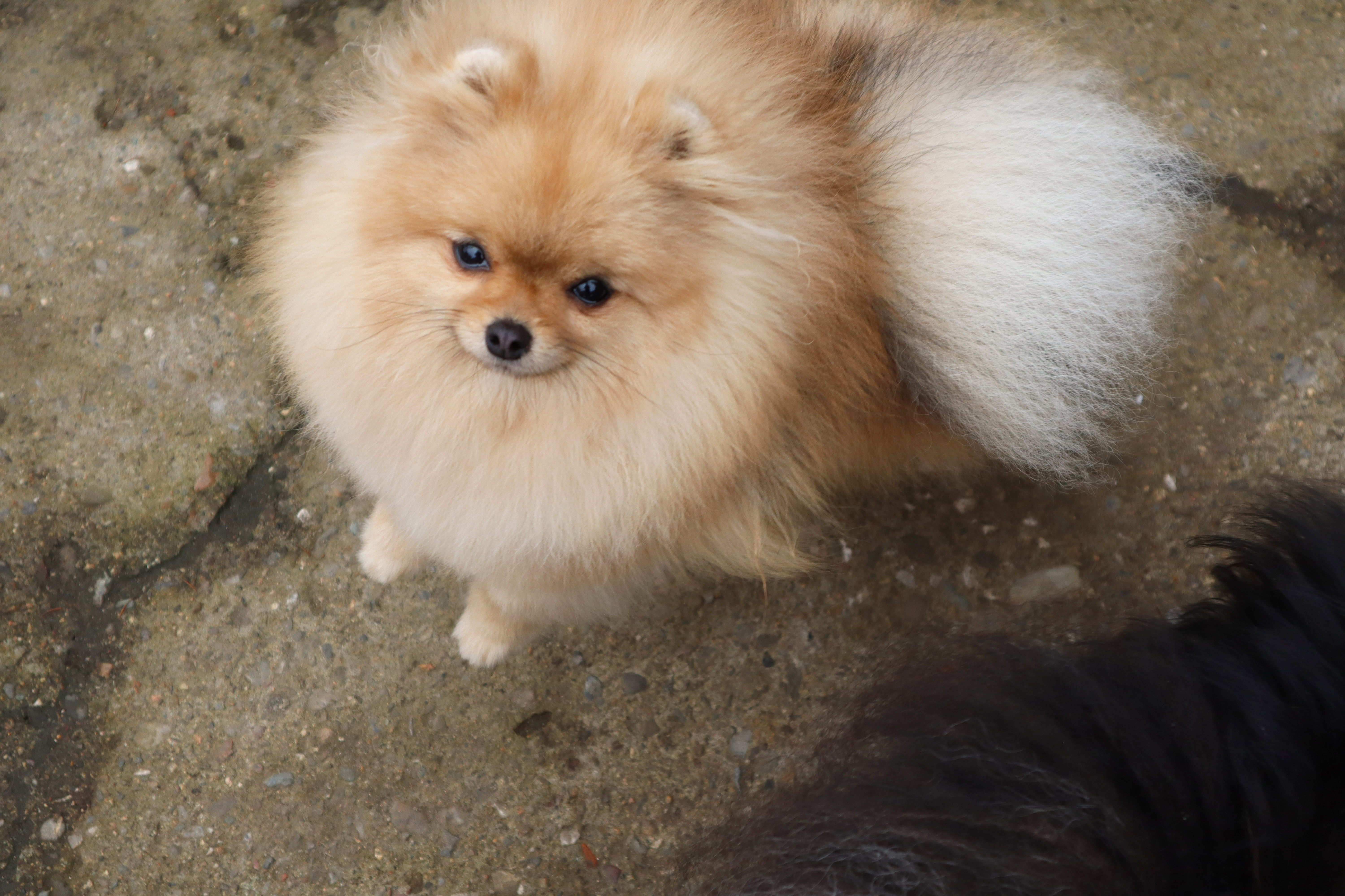 Born To Be Famous Quick As A Wink "Karma" 4