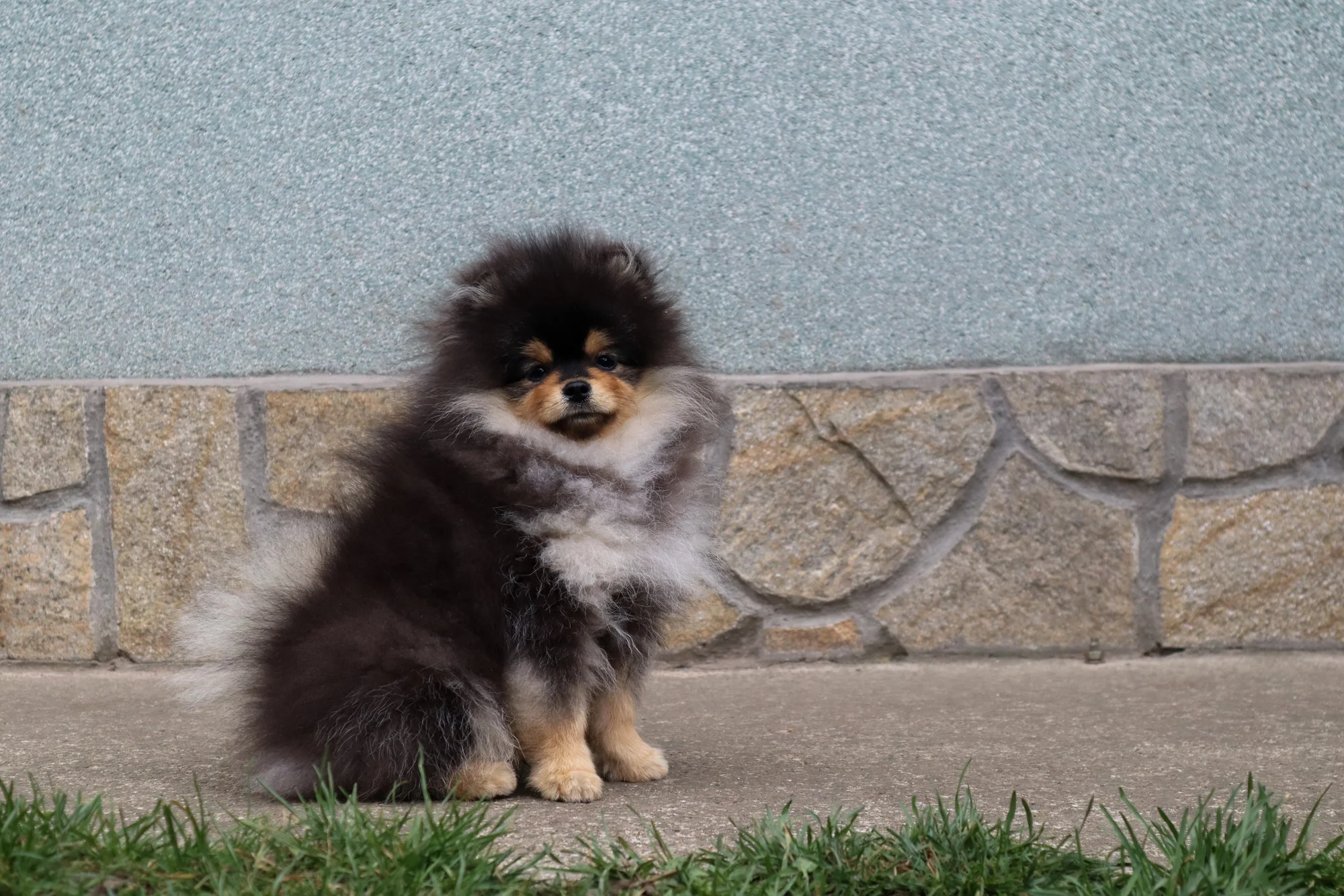 Born To Be Famous Urban Legend "Kairo" 5