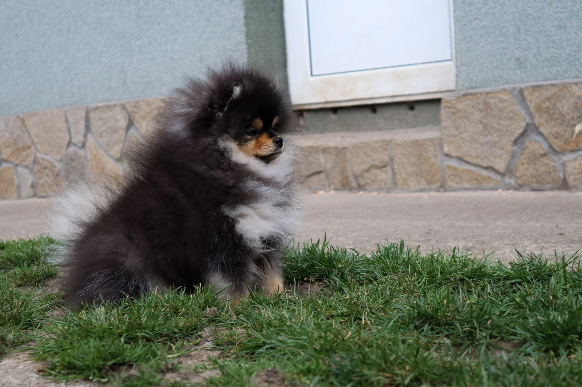 Born To Be Famous Urban Legend "Kairo" 3
