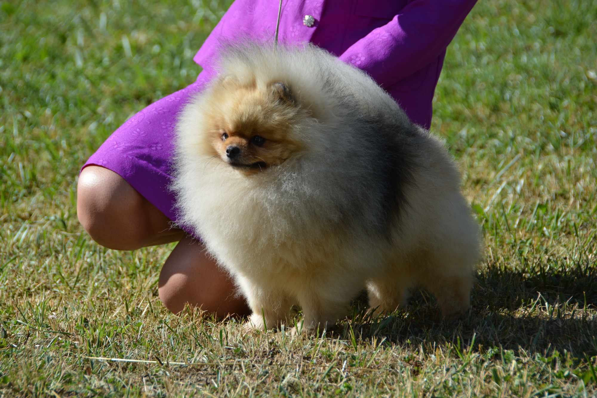 Born To Be Famous Forged In Fire "Aro" 15