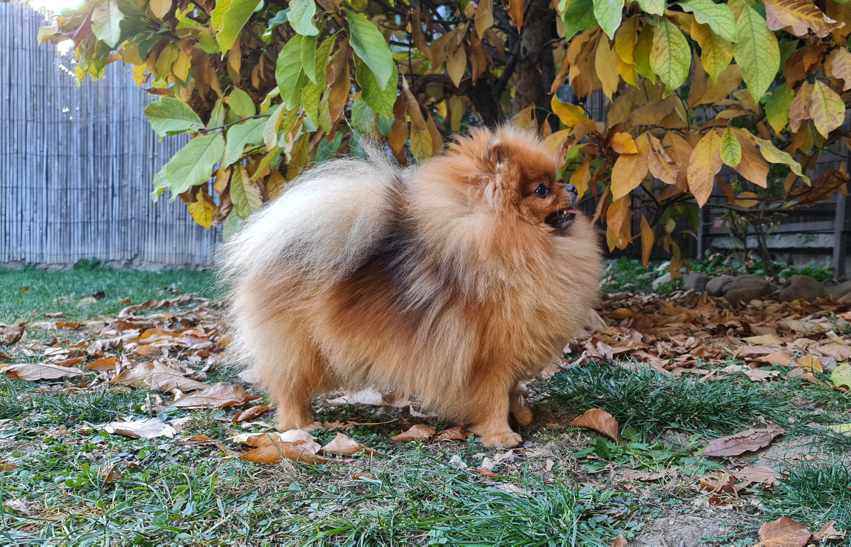 Born To Be Famous Bet On Me "Zina" 4